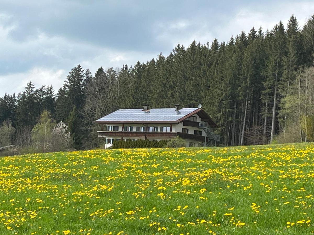 Apartamento Ferienhaus Am Wald Friesenried Exterior foto