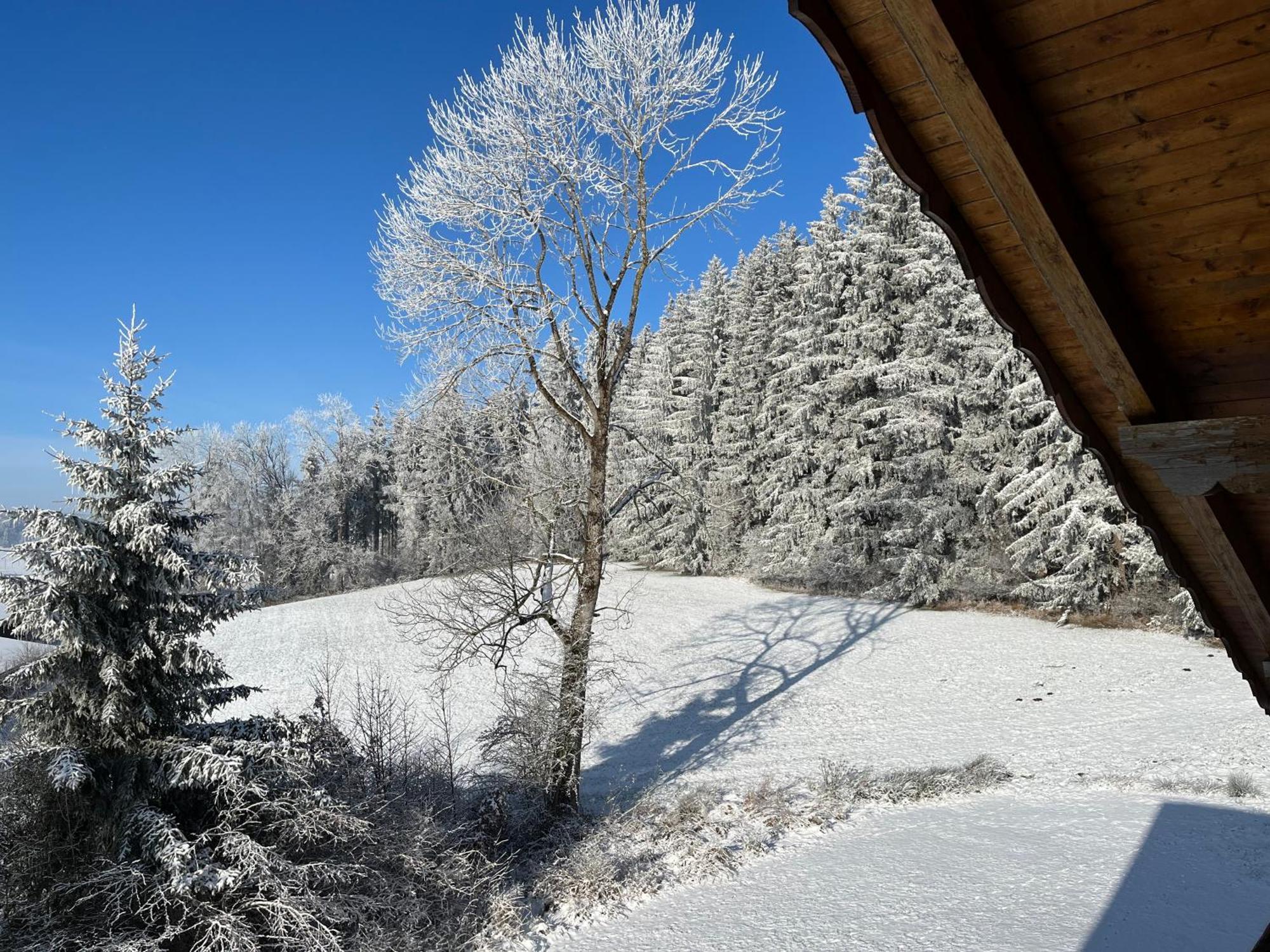Apartamento Ferienhaus Am Wald Friesenried Exterior foto